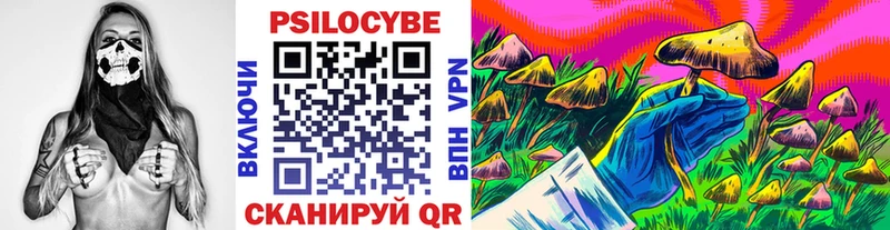 где можно купить   Дмитров  Псилоцибиновые грибы Psilocybine cubensis 