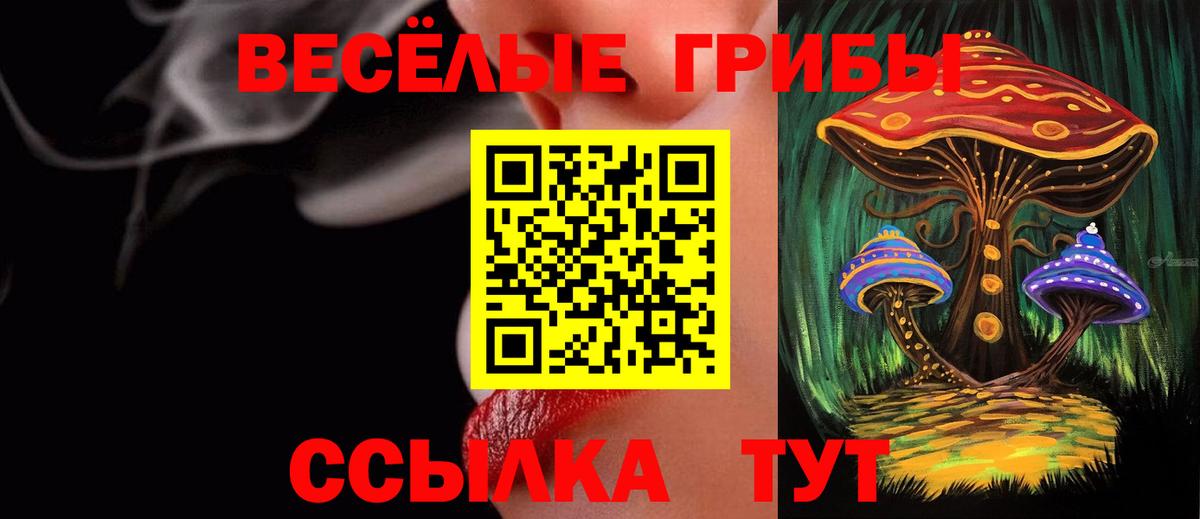 Дмитров  Псилоцибиновые грибы Psilocybine cubensis  Вход с VPN 